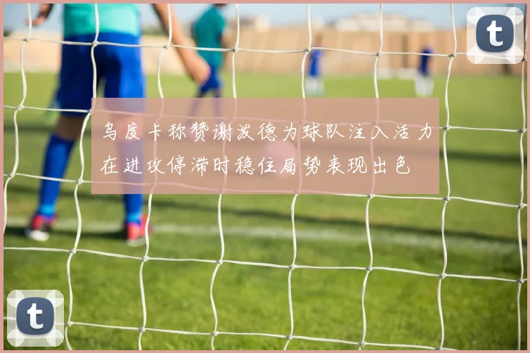 乌度卡称赞谢泼德为球队注入活力在进攻停滞时稳住局势表现出色