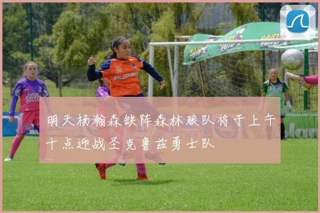 明天杨瀚森缺阵森林狼队将于上午十点迎战圣克鲁兹勇士队